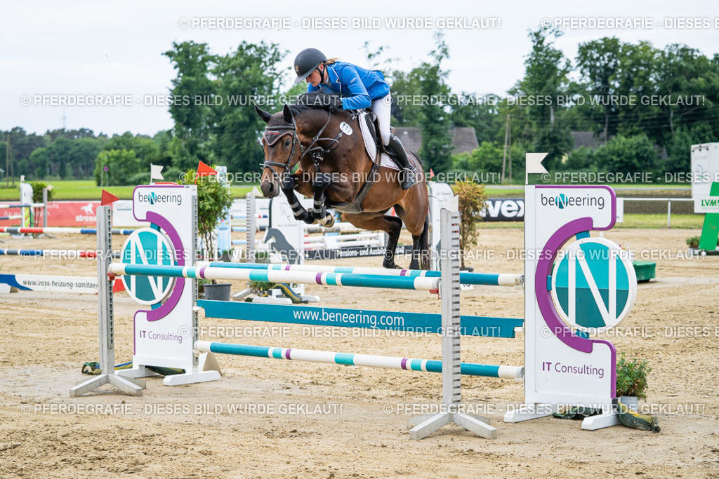 DSC04737 | Pferdegrafie