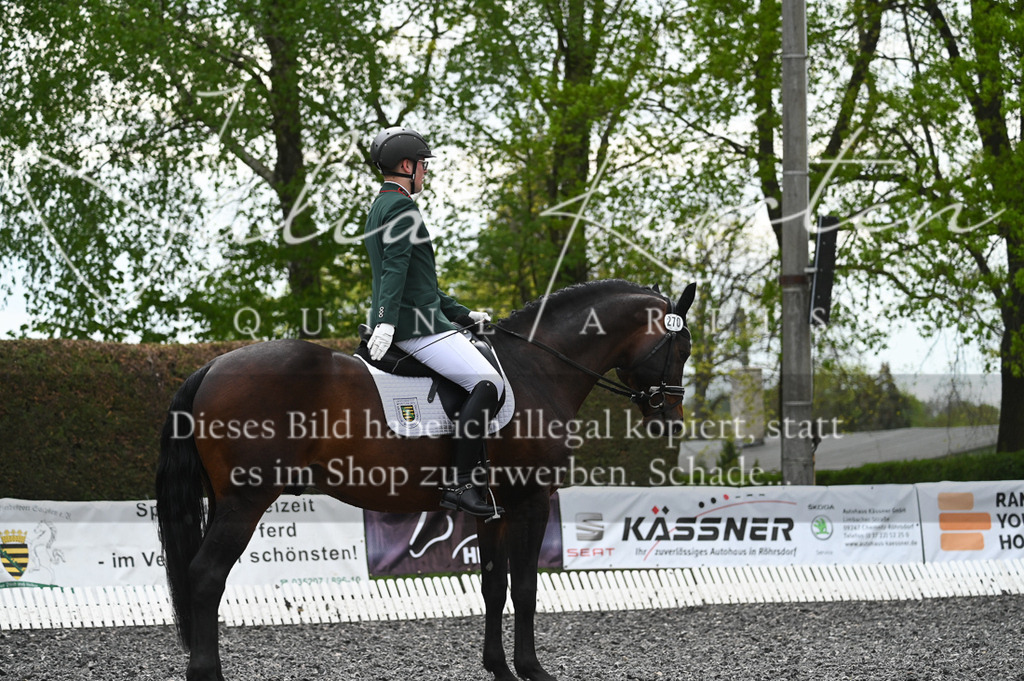 20230512_JK-Röhrsdorf-08-088 | Pferde- und Turnierfotografie in Westsachsen. Pferdeportraits, Auftragszeichnungen und intuitive Kunst.