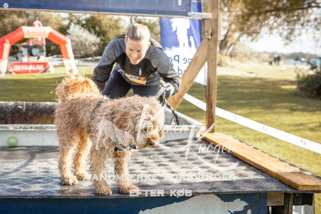 1434_ZZ94726-2 | kk-dogfotos