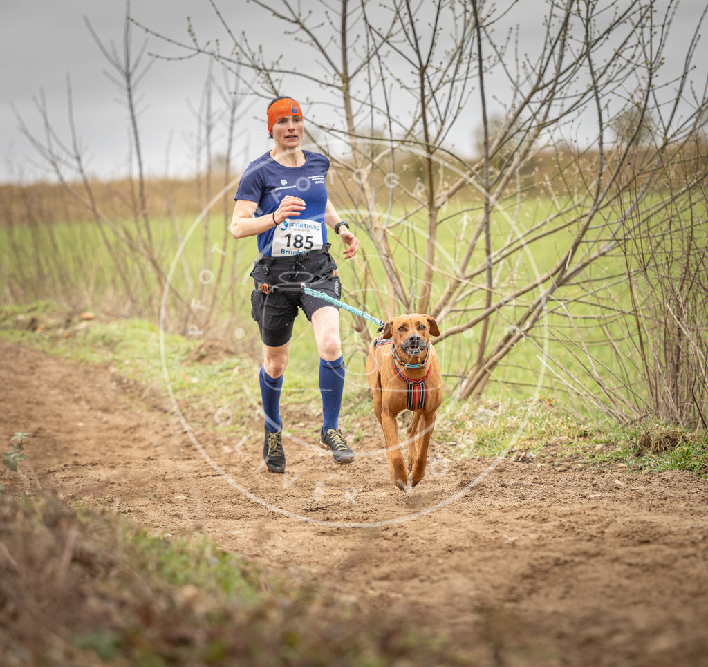 DV3A2147 | Hundefotografie, Tierfotograf, Pfotenfotografie, Fotoshooting Hund, Hunde Portrait, Hundesport, Hundeportraits, Heideshooting, Hunde, Sportfotograf, Hundefotograf, Turnierhundsport, THS,  - Realisiert mit Pictrs.com