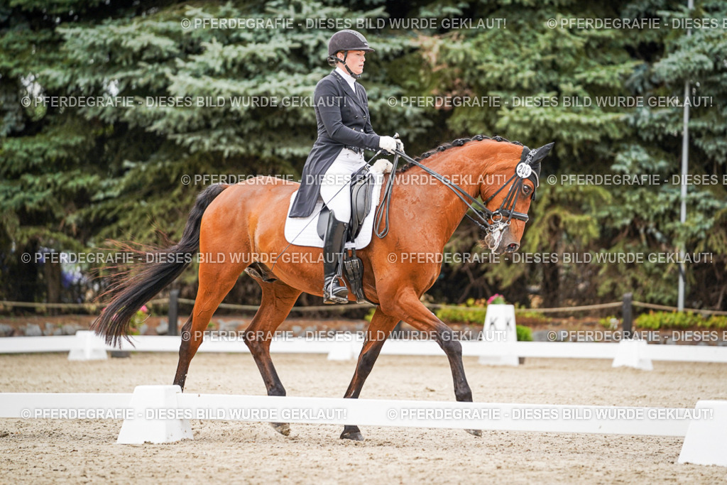 DSC07534 | Pferdegrafie