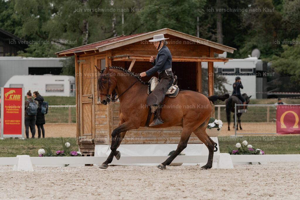 WE_DR_Stoib_313_PI2025_285 | Pferd International München 2025