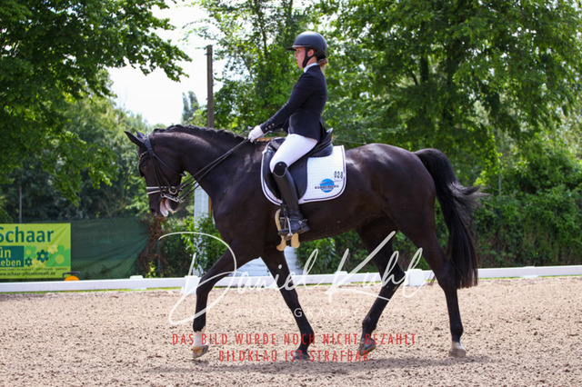 DKP40976 | Turnierfotos kaufen im Webshop von Daniel Kuhl Photography – entdecke professionelle Reitsportfotos aus Turnieren & Events. Hochwertige Turnierbilder online bestellen & sichern. Jetzt Fotos von Reitsportturnieren kaufen!