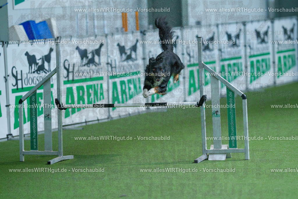 @allesWIRTHgut_Tierfotografie - www.allesWIRTHgut.de - 2604251438-7R505163 | Professionelle Tierfotografie in Mönchengladbach von Daniel Wirth (allesWIRTHgut). Liebevolle & natürliche Bilder von Hunden & Katzen für unvergessliche Erinnerungen.