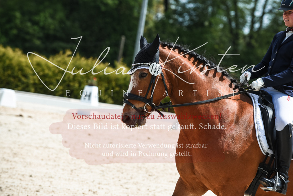 20230518_JK-Röhrsdorf-11-0580 | Pferde- und Turnierfotografie in Westsachsen. Pferdeportraits, Auftragszeichnungen und intuitive Kunst.