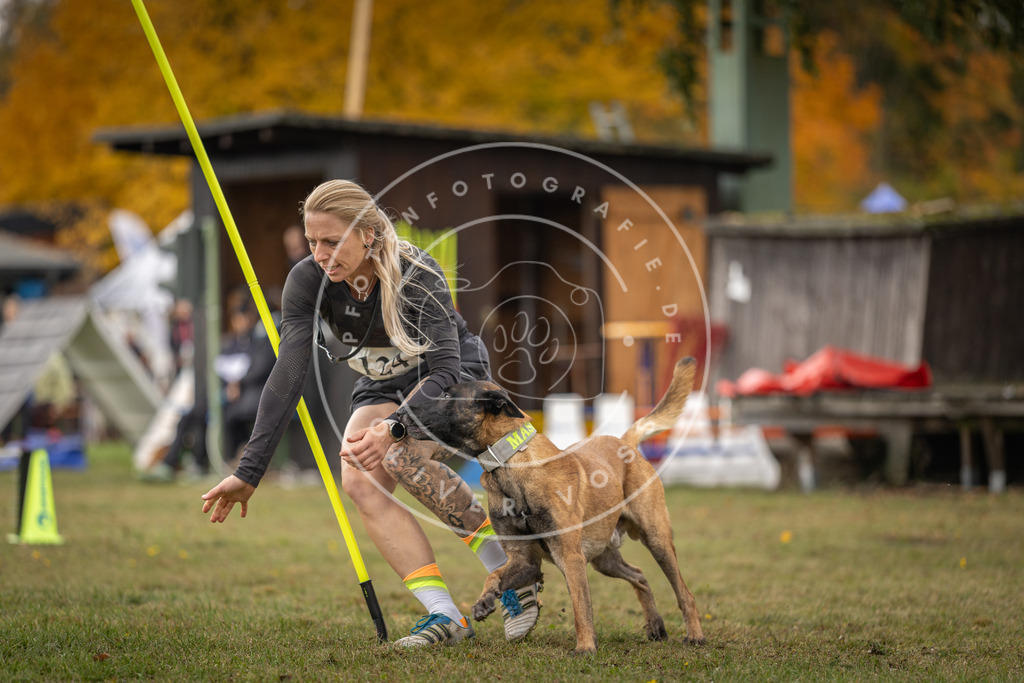 Pfotenfotografie_DV3A6761 | Hundefotografie, Tierfotograf, Pfotenfotografie, Fotoshooting Hund, Hunde Portrait, Hundesport, Hundeportraits, Heideshooting, Hunde, Sportfotograf, Hundefotograf, Turnierhundsport, THS,  - Realisiert mit Pictrs.com