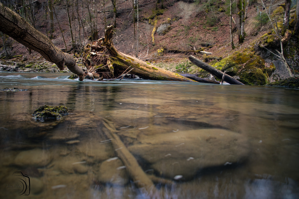 Silent Water | Holzisphotography, Landschaftsfotografie, Wildlifefotogorafie - Realisiert mit Pictrs.com