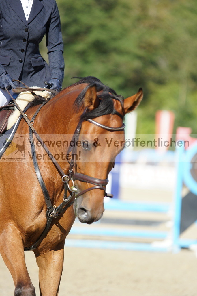DSC08240 | equestrian-live-com