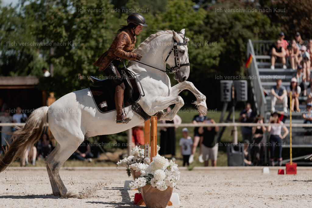 WE_SP_Stoib_347_PI2025_1523 | Pferd International München 2025