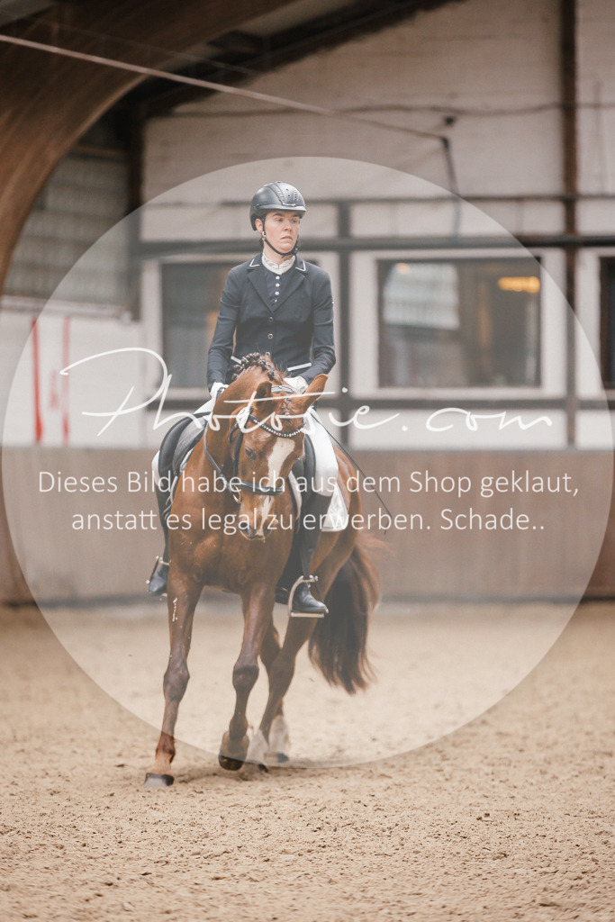 3I6A6699 | Stimmungsvolle Portraits und Reitsportfotografie im Ruhrgebiet und im Münsterland.

Pferdefotografie, Hundefotografie, Tierfotografie, Reportagen, Portraits von Tier und Mensch, Turnierfotografie in Bochum, Recklinghausen, Marl, Haltern am See, Dülmen.. - Realisiert mit Pictrs.com
