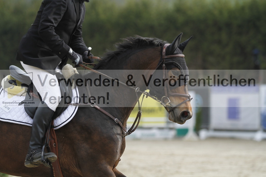 _MG_0389 | equestrian-live-com