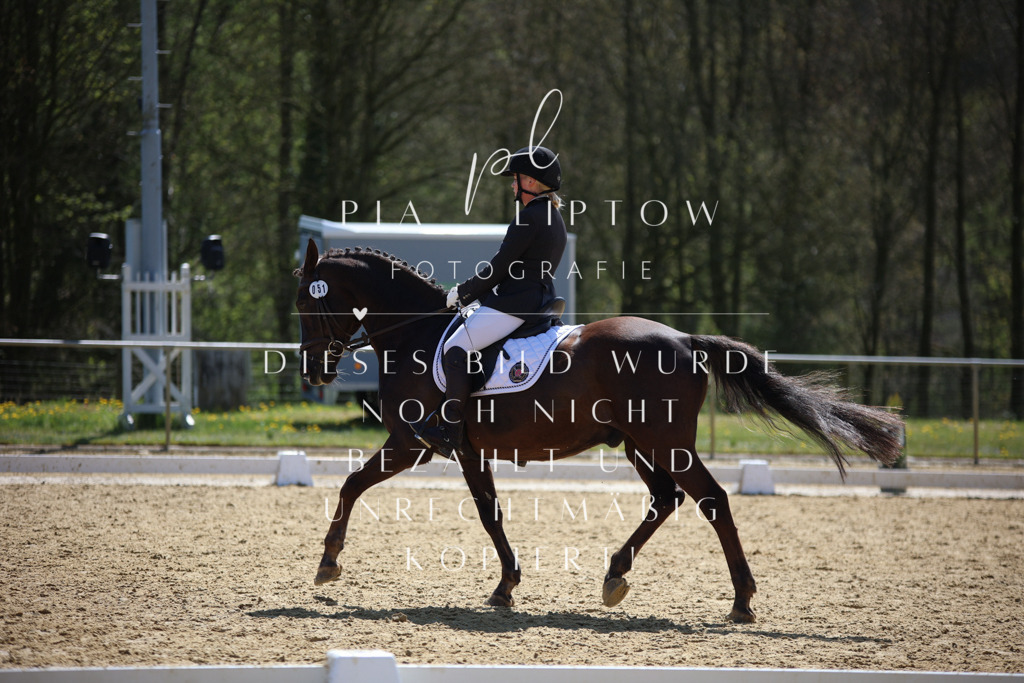 IMGT1724 | pl-fotografie