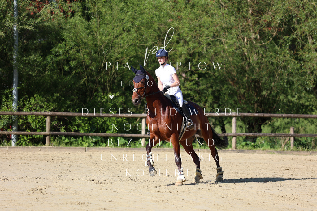 IMGS5292 | pl-fotografie