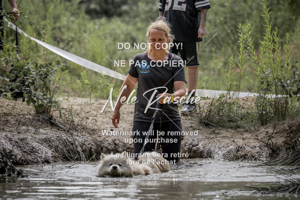 nelerasche_so1300-1330_65 | nelerasche