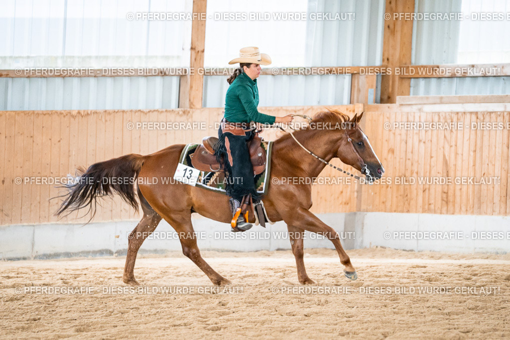 DSC03780 | Pferdegrafie