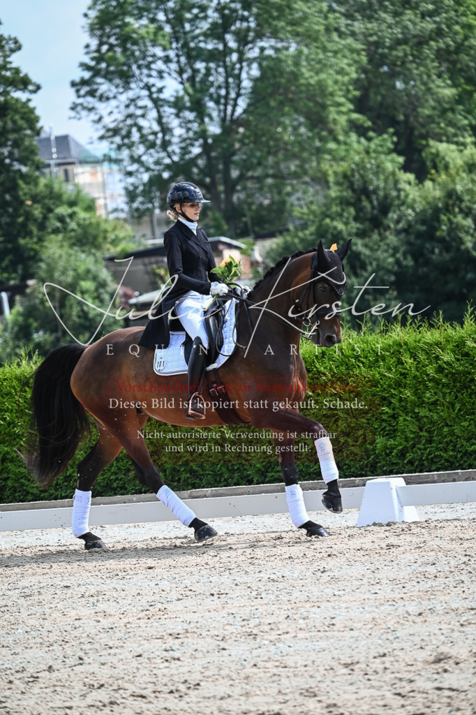 DSC_2665 | Pferde- und Turnierfotografie in Westsachsen. Pferdeportraits, Auftragszeichnungen und intuitive Kunst.