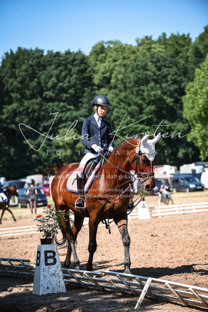 DSC_3478 | Pferde- und Turnierfotografie in Westsachsen. Pferdeportraits, Auftragszeichnungen und intuitive Kunst.