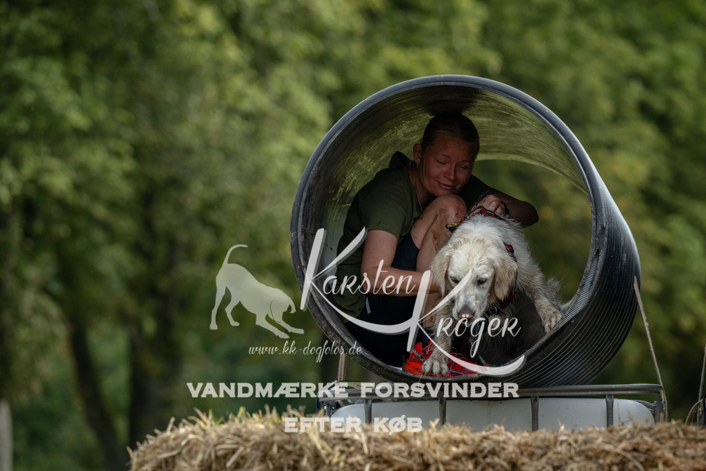0955_ZZ91648 | kk-dogfotos