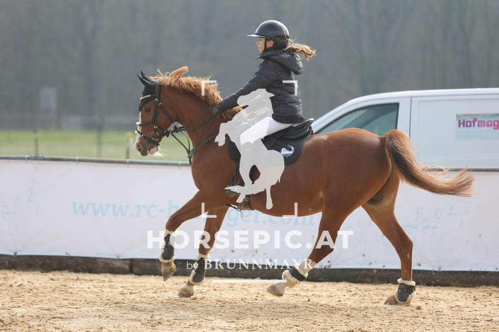 0P6A9094 | Willkommen bei Brunnmayr - Design & Fotografie – Ihrem Spezialisten für Reitturniere und Pferdeveranstaltungen in Oberösterreich, Salzburg und Bayern! Seit über 17 Jahren sind wir leidenschaftlich dabei.