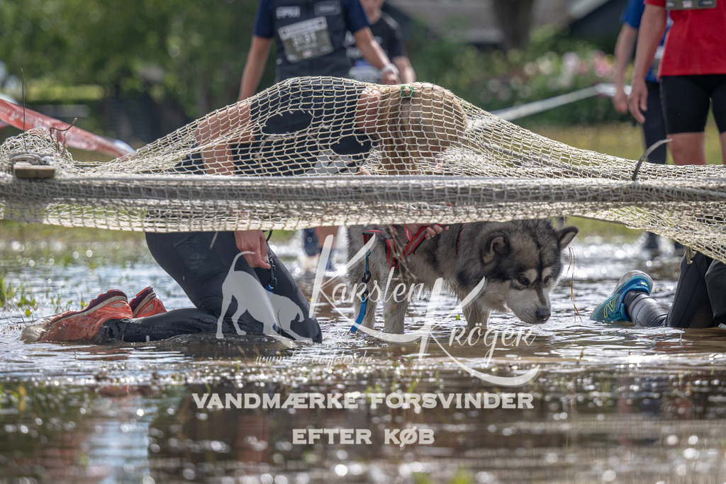 1335_ZZ90206 | kk-dogfotos