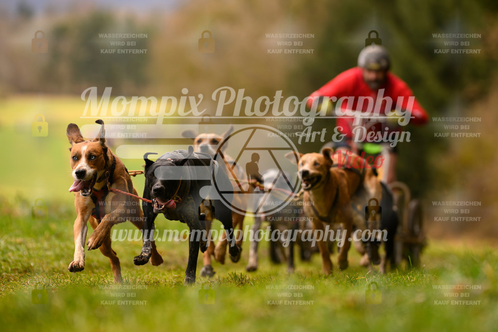MompixPhotography_2SSTSSBW_2025_SO_Kart-5 | PayLife