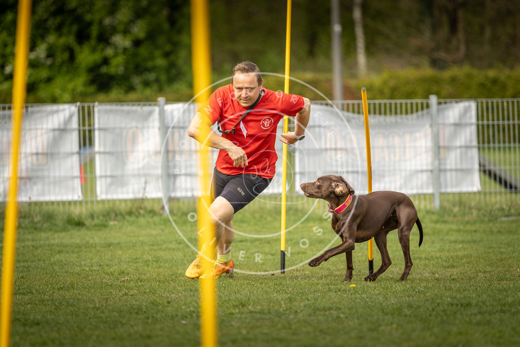 Pfotenfotografie_DV3A5286 | Hundefotografie, Tierfotograf, Pfotenfotografie, Fotoshooting Hund, Hunde Portrait, Hundesport, Hundeportraits, Heideshooting, Hunde, Sportfotograf, Hundefotograf, Turnierhundsport, THS,  - Realisiert mit Pictrs.com