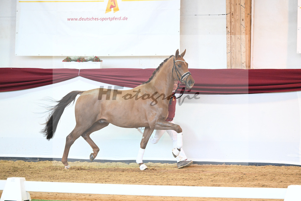 Kat-Nr. 37 v. Jazz_Stahl_66221907 | hf-fotografie - Realisiert mit Pictrs.com