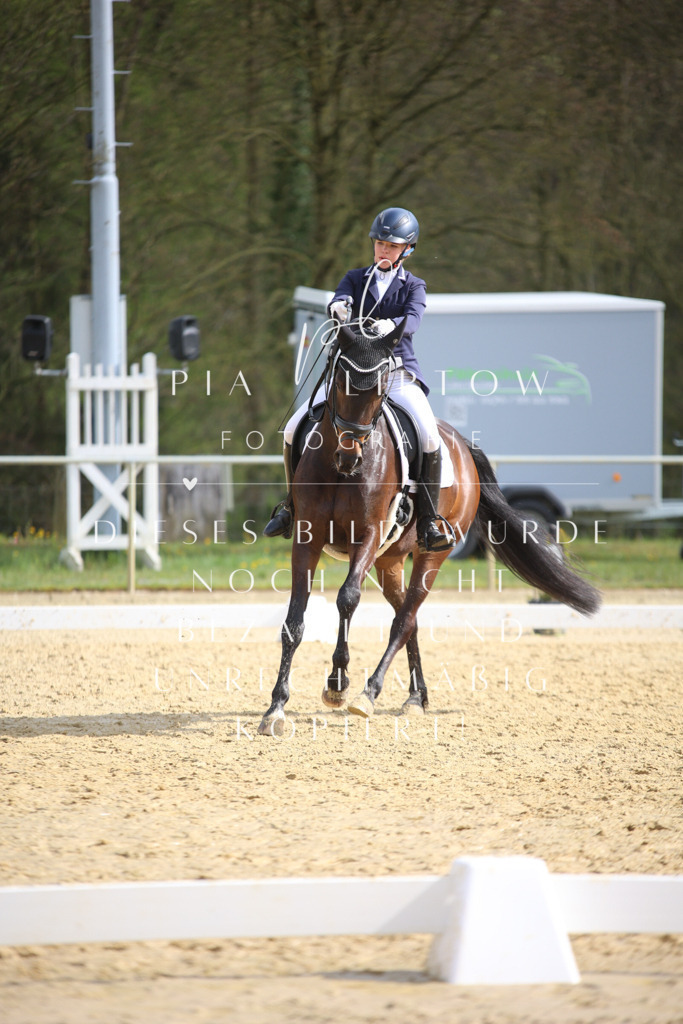 IMGT6108 | pl-fotografie