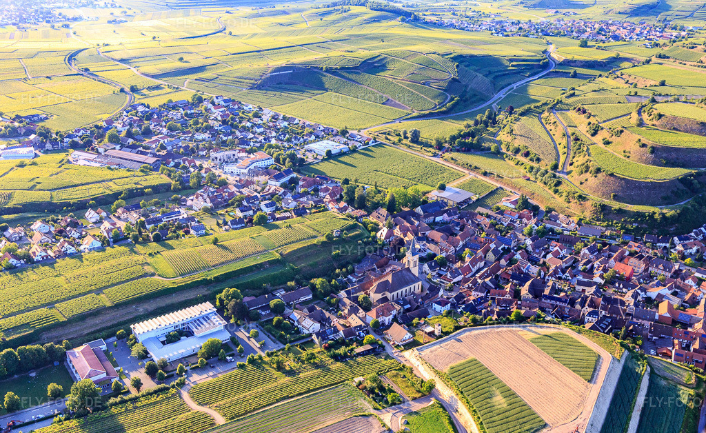 Luftbild: Eisentalstraße mit Kirche St. Johannes Baptist und Wilhelm Hildenbrand Schule im Ortsteil Oberrotweil in Vogtsburg im Bundesland Baden-Württemberg in Deutschland.Foto: IMG_147878.jpg vom 30.05.2025 durch Werner Riehm/FLY-FOTO.deAuflösung des Originals: 5175 x 3174 pxWilhelm Hildenbrand Schule