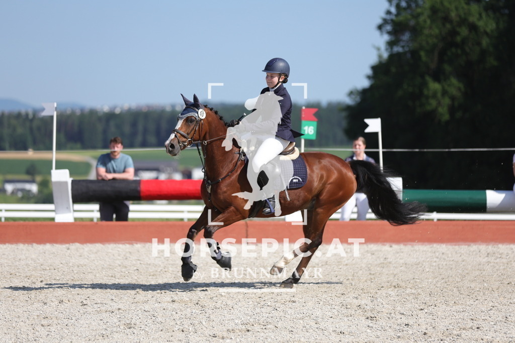 0P6A7559 | Willkommen bei Brunnmayr - Design & Fotografie – Ihrem Spezialisten für Reitturniere und Pferdeveranstaltungen in Oberösterreich, Salzburg und Bayern! Seit über 17 Jahren sind wir leidenschaftlich dabei.