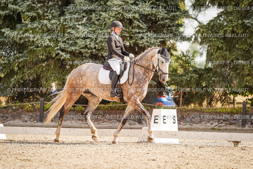 DSC01085 | Pferdegrafie