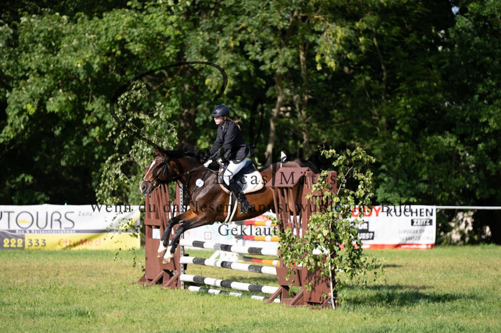 A7V05210 | Pferdefotograf