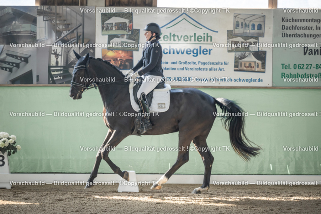 _D5A0548 | Emotionale Pferde- & People-Fotografie rund um Heidelberg, Leimen & Umgebung. Natürliche Fotos von Pferd, Mensch & Familie. Jetzt Termin sichern!