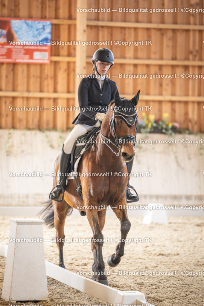 _D5A8866 | Emotionale Pferde- & People-Fotografie rund um Heidelberg, Leimen & Umgebung. Natürliche Fotos von Pferd, Mensch & Familie. Jetzt Termin sichern!