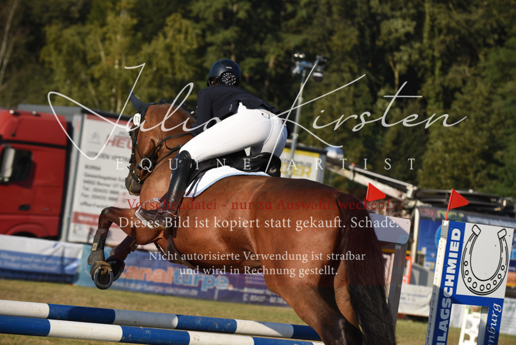 DSC_4888 | Pferde- und Turnierfotografie in Westsachsen. Pferdeportraits, Auftragszeichnungen und intuitive Kunst.