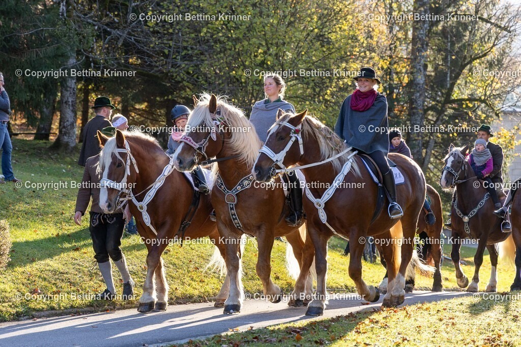 LL24-199 | foto-bettina-krinner - Realisiert mit Pictrs.com