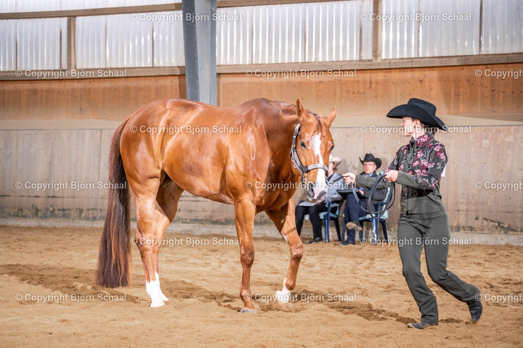 SBS09709 | BS-foto