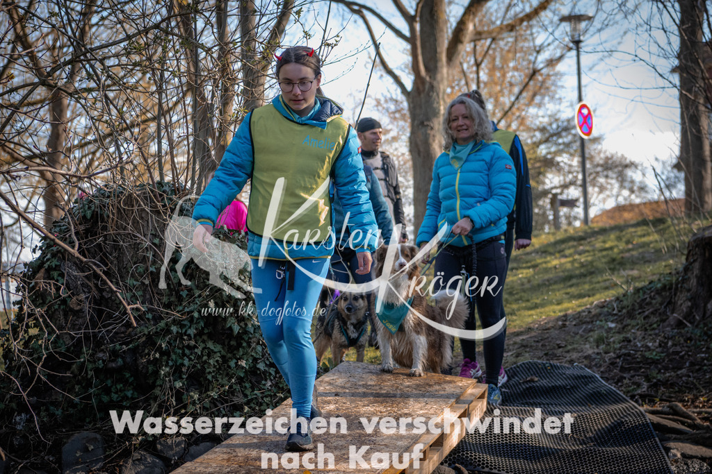 0828_ZZ91178 | kk-dogfotos