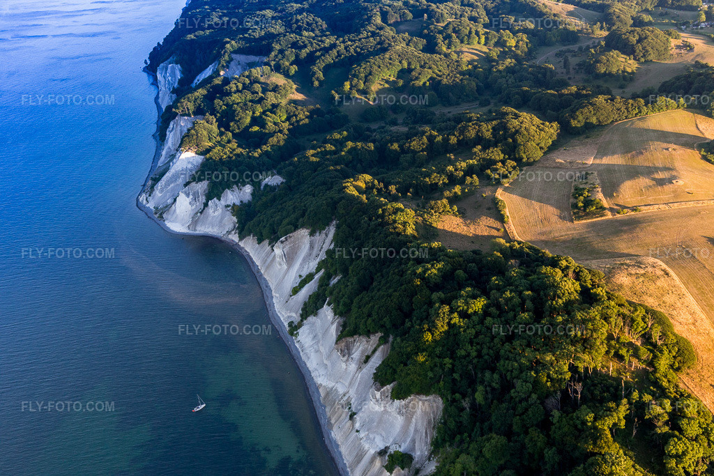 Aerial view: Forest areas of Møns Klint on the steep coast of the Baltic Sea in Borre in the state Zealand, Denmark. – Photo: IMG_108659.jpg taken on 07/04/2018 by Werner Riehm/FLY-FOTO.com – Resolution of the original: 5472 x 3648 px