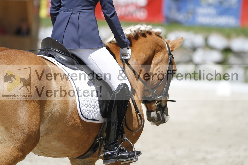_MG_5100 | equestrian-live-com