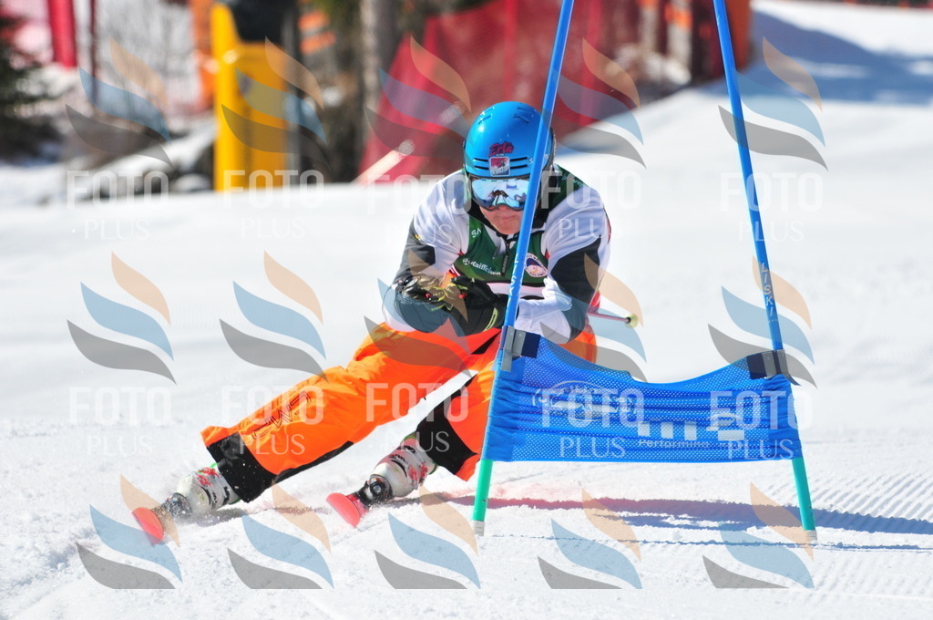 C3591 | holidayphoto