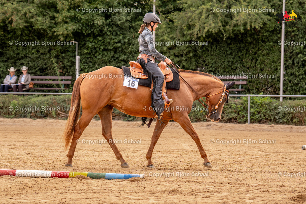 LMS07751 | BS-foto