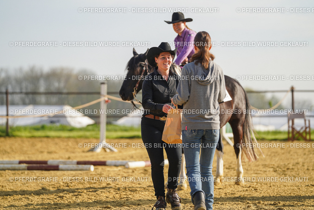 DSC00679 | Pferdegrafie