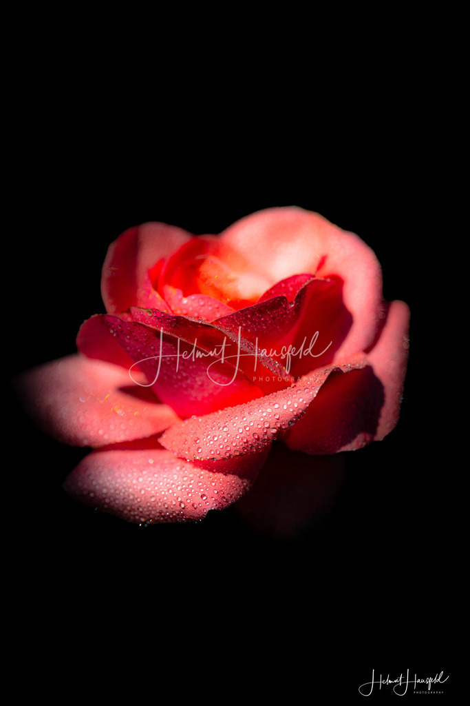 DSC00189 | Landschaftsfotografie, Naturfotografie - Realisiert mit Pictrs.com