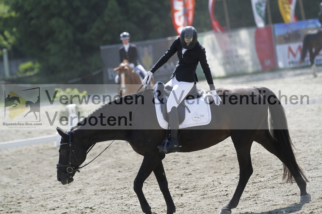 _MG_2026 | equestrian-live-com