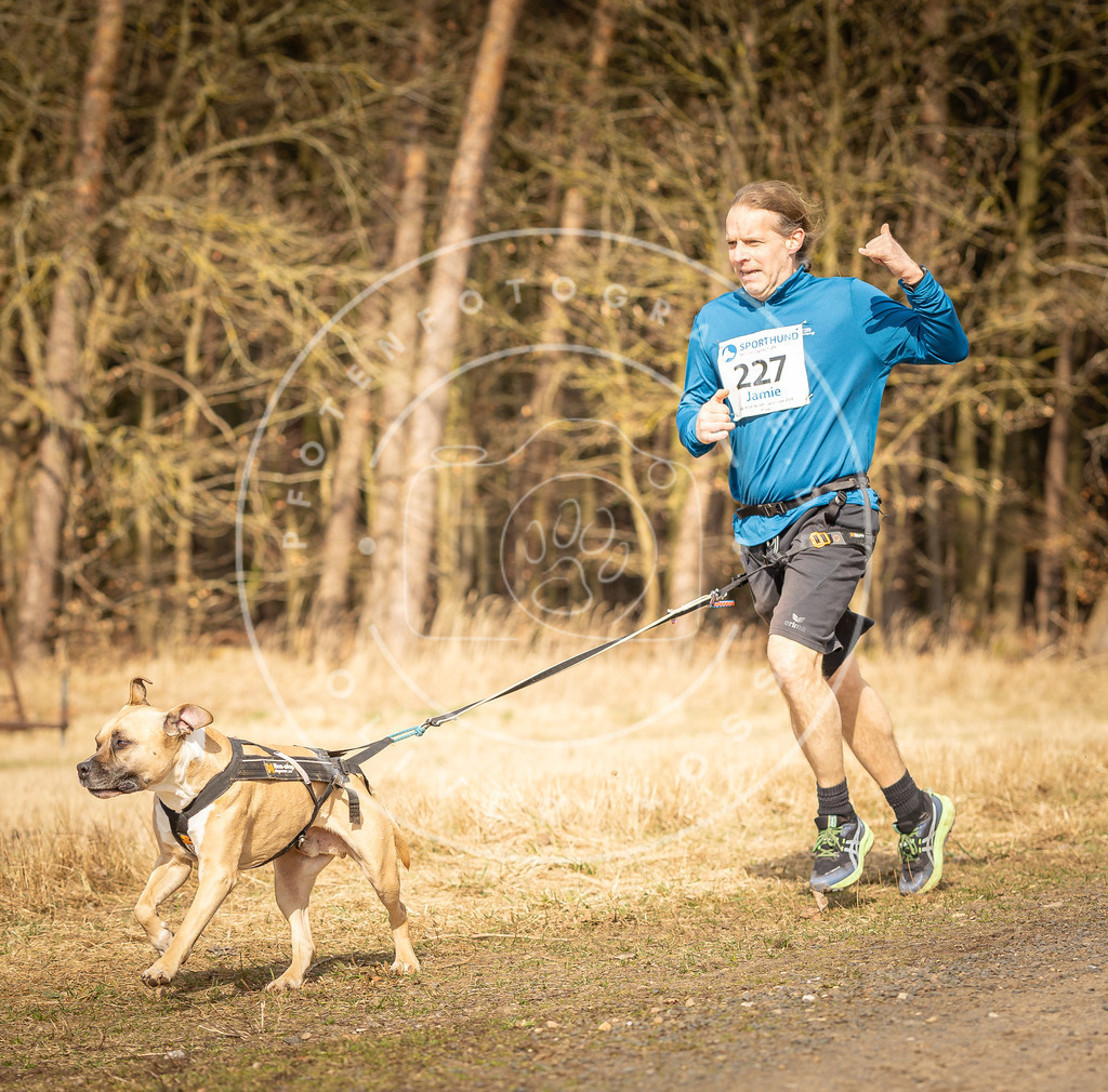 DV3A5332 | Hundefotografie, Tierfotograf, Pfotenfotografie, Fotoshooting Hund, Hunde Portrait, Hundesport, Hundeportraits, Heideshooting, Hunde, Sportfotograf, Hundefotograf, Turnierhundsport, THS,  - Realisiert mit Pictrs.com