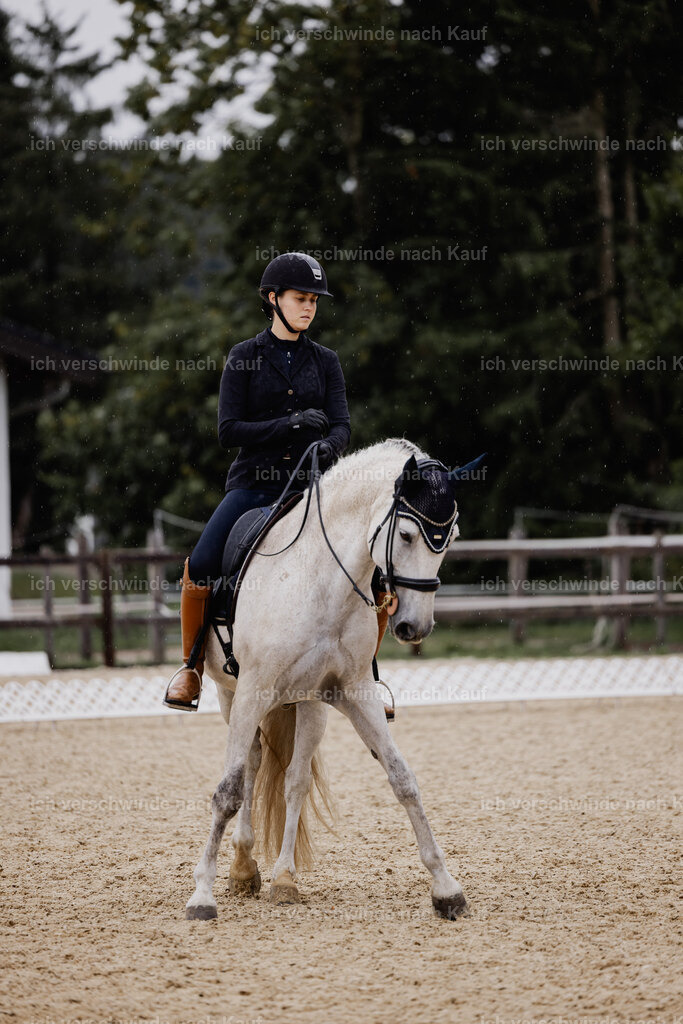 Svea13FHC2025-24598 | working equitationturnier fotograf videograf stoibphotography marixx film working equitation deutschland reitsport turnierfotografie eventfotografie equestrian events