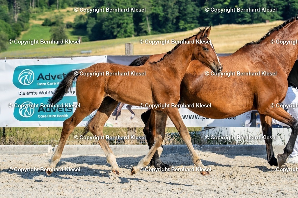 A1S07975 | foto-team-bernhard - Realisiert mit Pictrs.com
