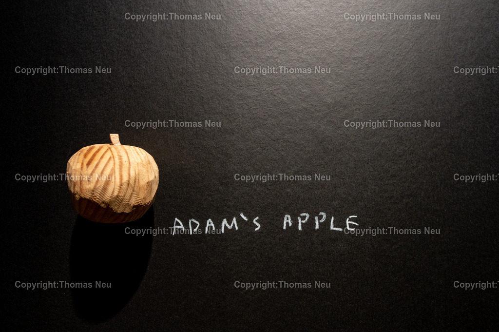 DSC_7231 | Museum der Stadt Bensheium, Brett Seiler - Low Budget – Love Story,, Bild: Thomas Neu