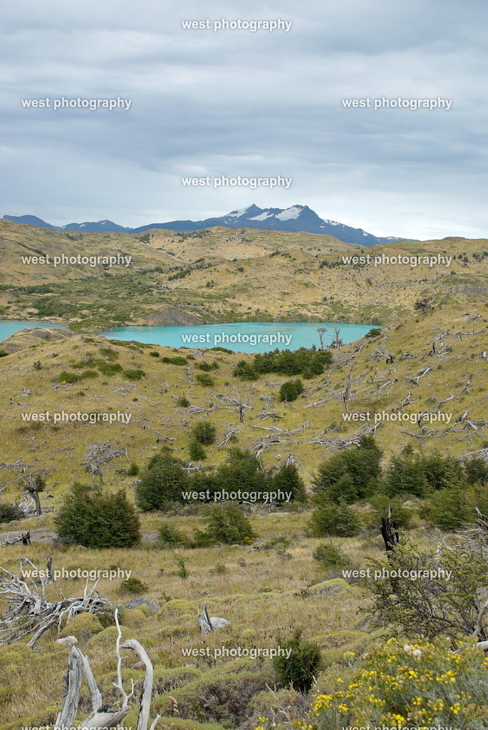 Lago Peho_ - CHI 2011 | west photography - Realisiert mit Pictrs.com